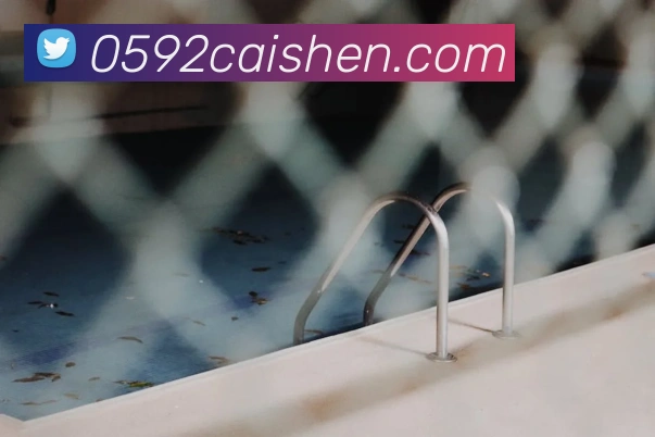 多媒体互动体验